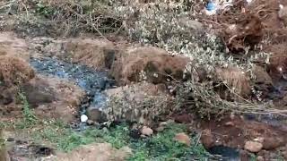 Revolutionary Goans chetan bandodkar  exposed  savage  left in cucholim zor mapusa goa
