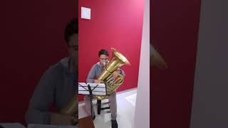 Ralph Vaughan Williams - Tuba Concerto