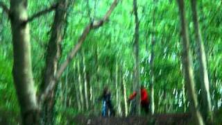 IMGP0469