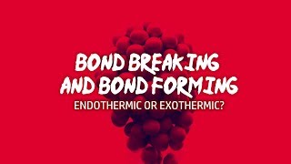 GCSE Chemistry 1-9: What makes a reaction Endothermic or Exothermic Overall?
