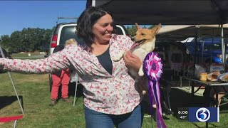 Video: Dog breeder charged with animal cruelty