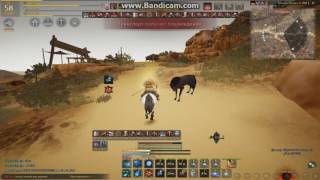 Dragonel - крысиная тактика (BDO)