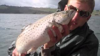 Lake Bullen Merri - T-DOGG & STINGA