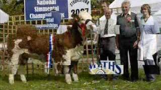 Strokestown Show