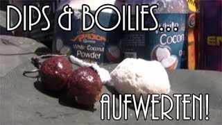 Tipp: Dips & Boilies richtig aufwerten!