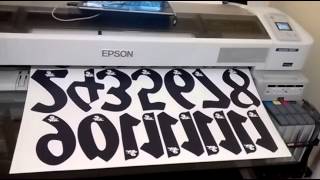 Epson surecolor f 6070