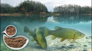 Крупные Лини на Льняной Жмых! Подводная съемка