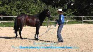 Demo BODENARBEIT Basics mit QH-Hengst in 2010