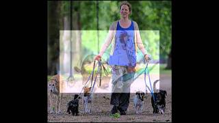Alpha Dog Watch Online