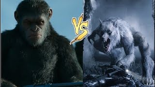 Кто сильней ОБЕЗЬЯНА vs  СОБАКА