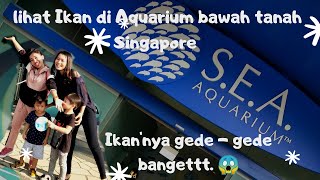 JALAN - JALAN KE RESORT SENTOSA SEA AQUARIUM || IKAN'NYA GEDE BANGET ???