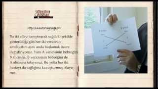 Prof. Dr. Alp Gürkan - Çapraz böbrek nakli nedir?