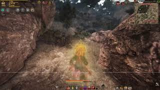Black Desert, Приключения в Медии V (Воспоминания свиты)