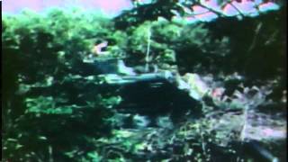 Battlefield Vietnam (Part 4)