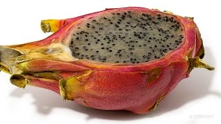 Dragon Fruit Time Lapse (Pitaya)