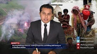 Rohingya Daily News 15 September 2017