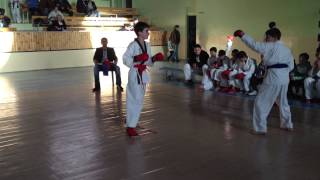 ERIK WKF HAYASTAN