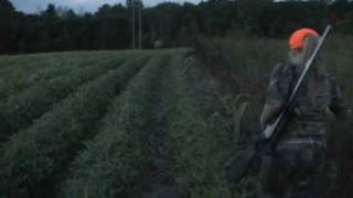 Youth Hunt Whitetail Buck Michigan