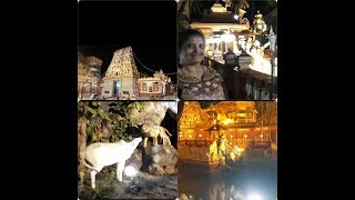 ಕುದ್ರೋಳಿ  ಶ್ರಿ ಗೋಕರ್ಣನಾಥೇಶ್ವರ ದೇವಸ್ಥಾನ  ಮಂಗಳೂರು