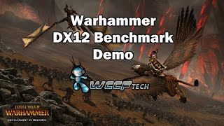 Total War WARHAMMER DX12 Benchmark Demo