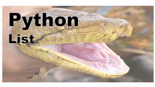 160-Python - List and Append & Pop