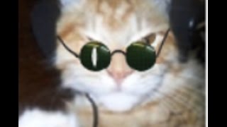 DOPPELGANGER 7.64 / "ЗАГАДКИ СЕВЕРНЫХ ТЕРРИТОРИЙ" - Как отключить газ в Путепроводе