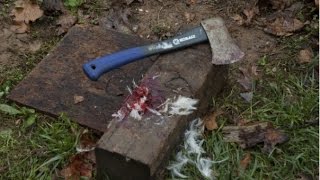SLAUGHTERING A CHICKEN!!!