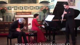 Trio Makarenko 6