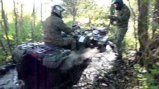 Yamaha Grizzly 660 & Cf Moto 500