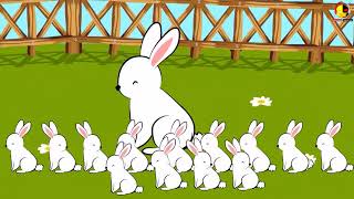 เพลงกระต่าย Rabbit song