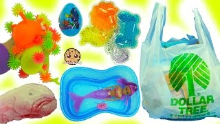 Dollar Tree Haul - Frozen Queen Elsa Craft, Surprise Blind Bags, Mermaid Doll, Squishy Shark