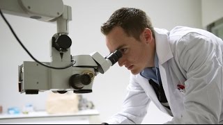 This Technology Could Help Cure Malaria, Cancer and HIV. But Will We Use It?