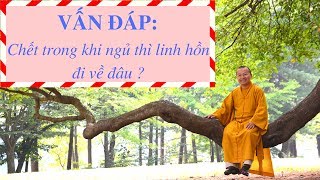 Vấn đáp: Chết trong khi ngủ thì linh hồn đi về đâu ? | Thích Nhật Từ