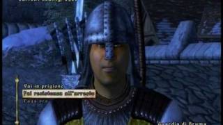 "11-11-11 Skyrim!"-Oblivion Commentary ITA By PAE27 and Magickal Maniac