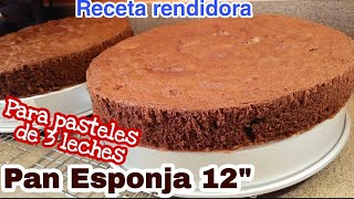 PAN ESPONJA 12" CHOCOLATE/Para PASTEL de 3 LECHES/RECETA RENDIDORA de 12 huevos para 2 MOLDES de 12"