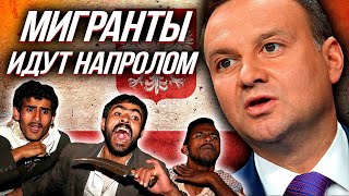 МИГРАНТСКАЯ УГРОЗА: Конфликт на границе ПОЛЬШИ и БЕЛАРУСИ | Уставший Оптимист