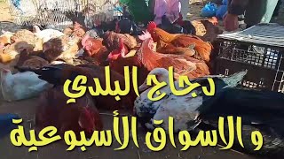 سوق دجاج البلدي.  واد الجديدة مكناس