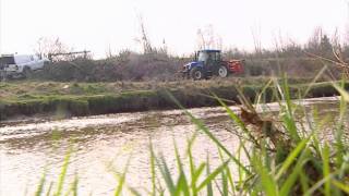BRoll River Kleine Nete