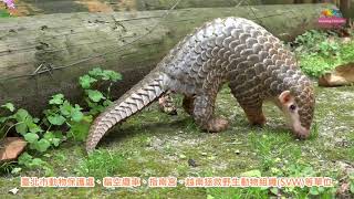 來動物園上網猜元宵燈謎~免費wifi讓你走到哪上到哪
