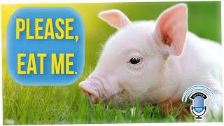 Farmers Can't Sell Pigs Fast Enough, Have to Waste 10M Animals