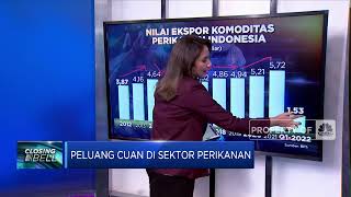 Peluang Cuan Di Sektor Perikanan