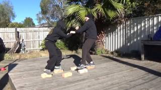 Tibetan Burning Palm Kung Fu