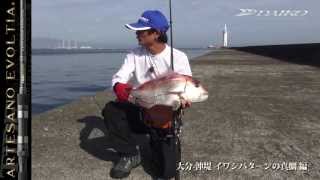 DAIKO/シーバス/大分-沖堤　イワシパターンの真鯛 /タイドマーク/アルテサーノエヴォルティア
