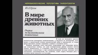 Наука и Мозг |палеоневролог Ю. А. Орлов| 003