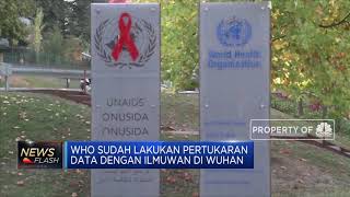 Perhatian! WHO Segera Rilis Asal-Usul Corona