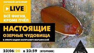 Ночной АРХЭфир в рамках рубрики "Все фигня, кроме пчёл" "Настоящие озëрные чудовища"