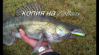 копия  на ZipBaits Orbit 80мм. Подводная съёмка.#твич#равномерка#