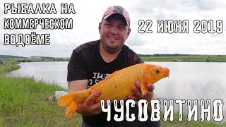 Рыбалка в Чусовитино 22 июня 2019г