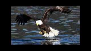 ABBA - Eagles