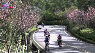 「2014 滿天星系列挑戰- 水星 北海岸櫻木花道」North Coast Sakura Road Challenge Race Recap
